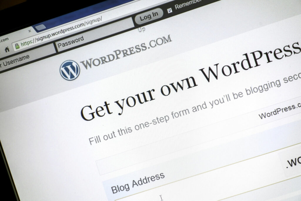 WordPress websites