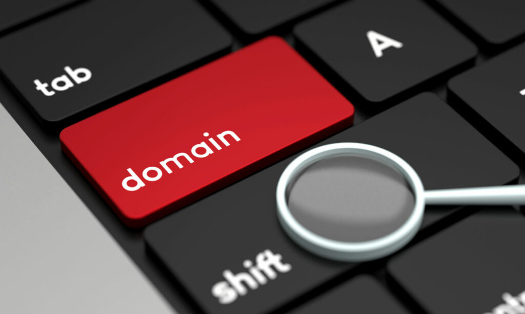 Domain network